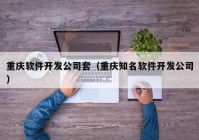 重庆软件开发公司套（重庆知名软件开发公司）